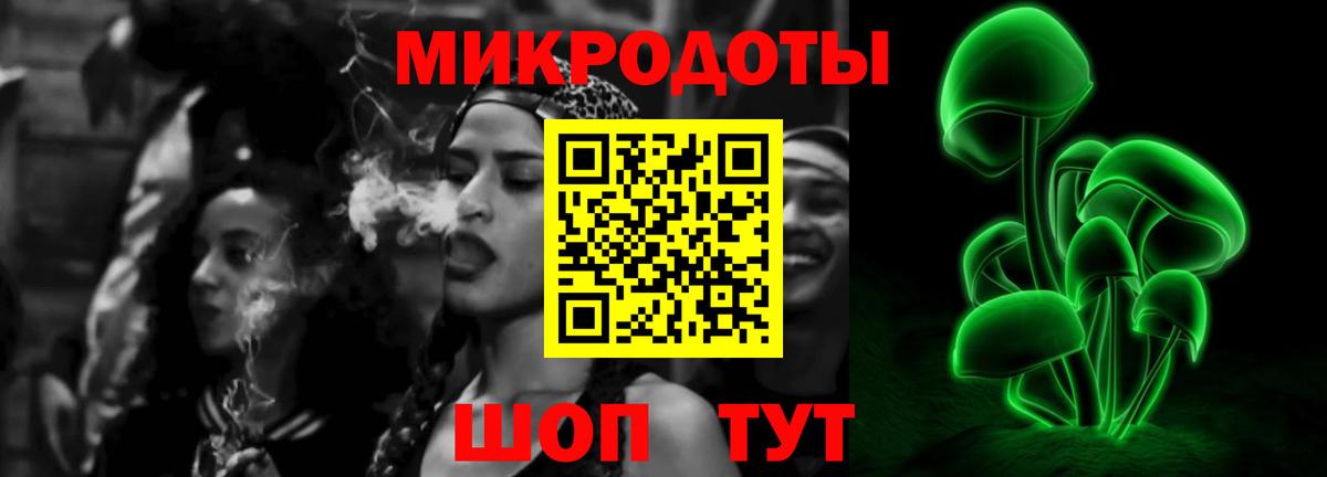 Жигулёвск  Псилоцибиновые грибы MAGIC MUSHROOMS  Вход с VPN 